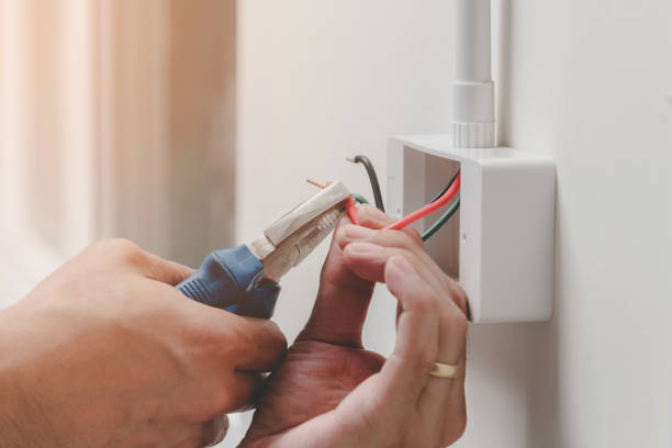 Best Electrical Panel Upgrades  in Silver Grove, KY